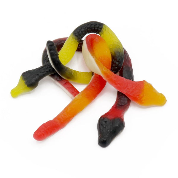 Ravazzi Giant Snake Bag 1kg
