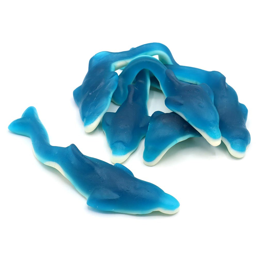 Kingsway Giant Dolphins Bag 3kg